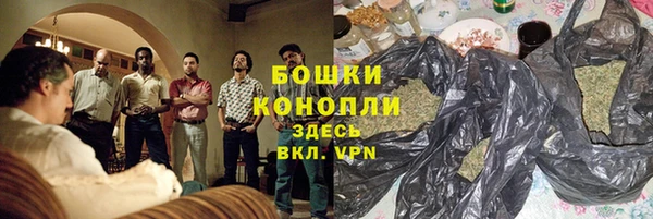 мдпв Богородицк