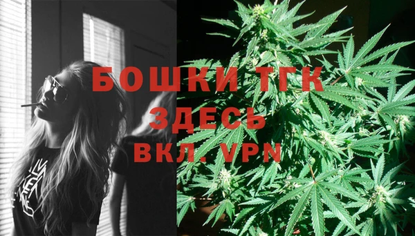 мдпв Богородицк