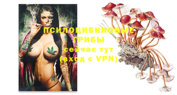 COCAINE Богданович