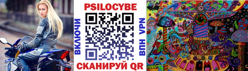 Галлюциногенные грибы Psilocybe как найти наркотики МЕГА зеркало Вичуга